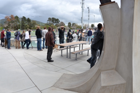Skateable picnic table and art piece